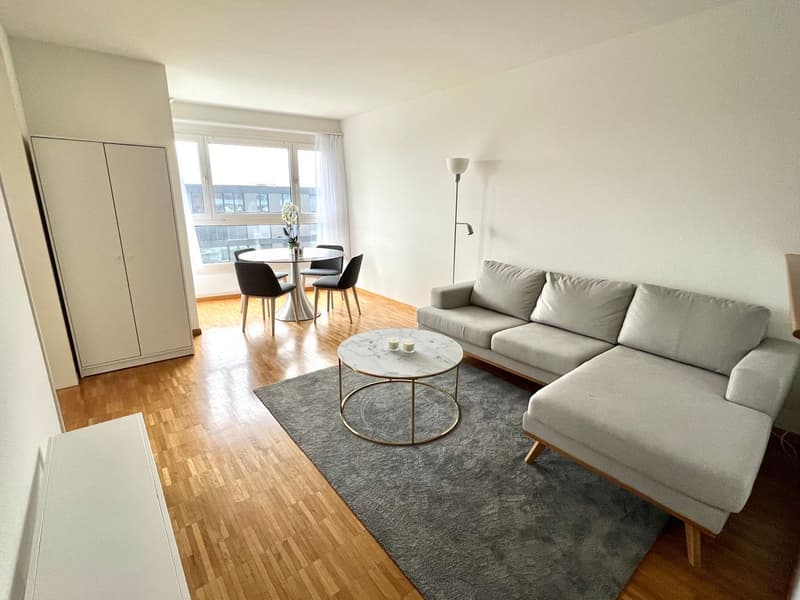 Fully furnished & equipped 2-room apartment in Zug (available for long term) (1)