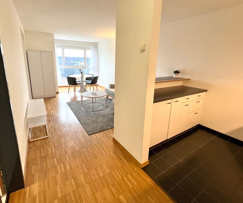 Fully furnished & equipped 2-room apartment in Zug (available for long term) (2)