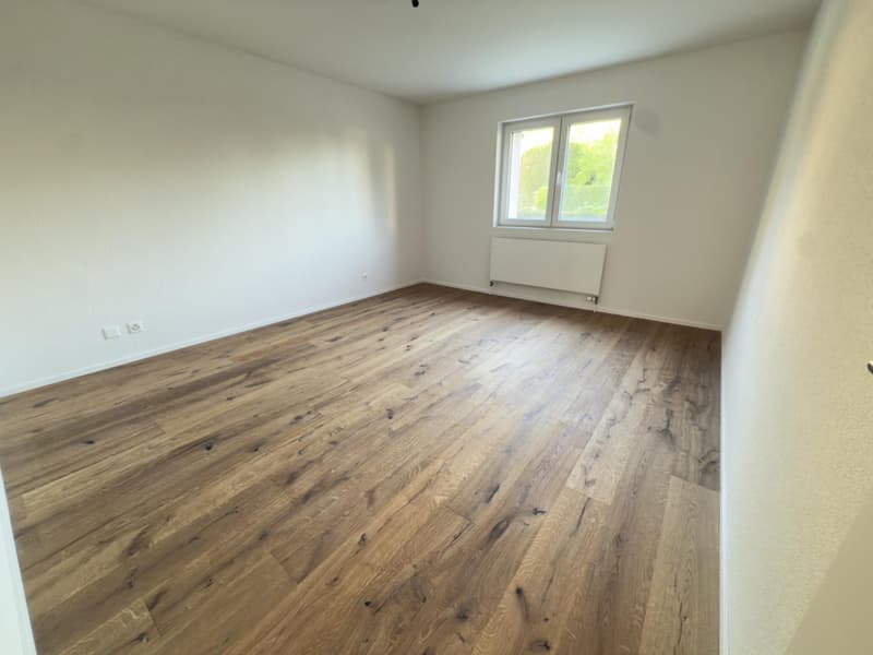 3.5 rooms with 150m2 garden fully renovated in Fétigny (10)