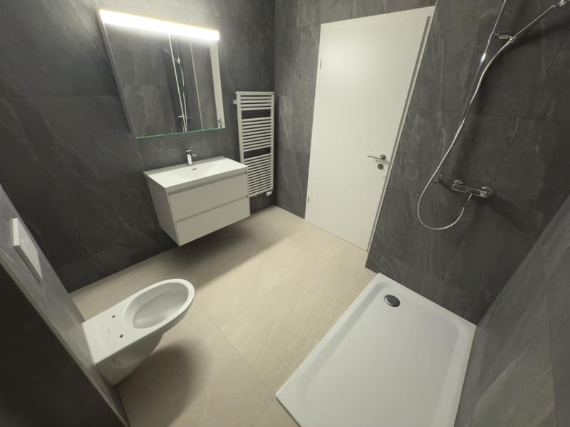 3.5 rooms with 150m2 garden fully renovated in Fétigny (7)