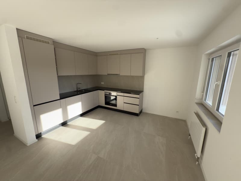 3.5 rooms with 150m2 garden fully renovated in Fétigny (5)