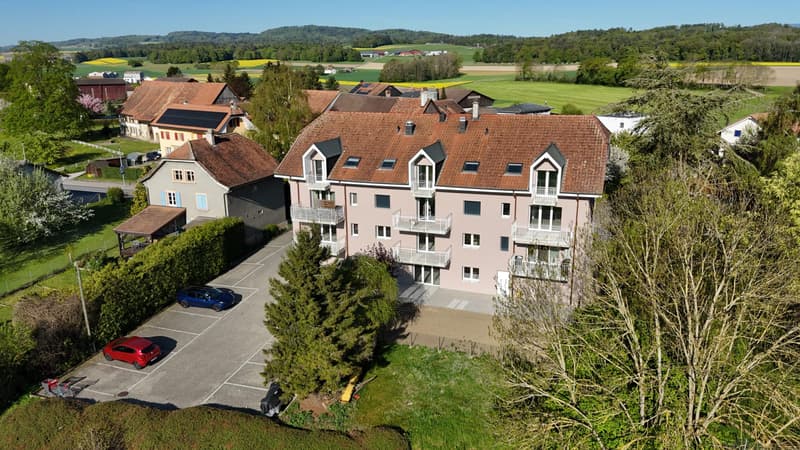 3.5 rooms with 150m2 garden fully renovated in Fétigny (8)
