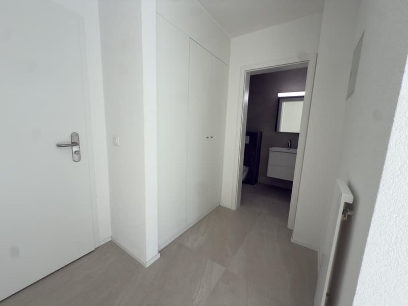 3.5 rooms with 150m2 garden fully renovated in Fétigny (9)