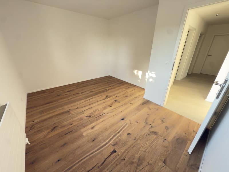 3.5 rooms with 150m2 garden fully renovated in Fétigny (6)