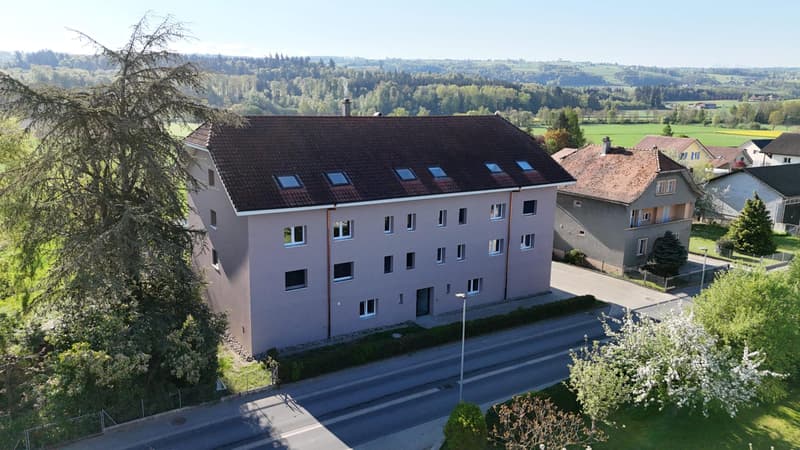 3.5 rooms with 150m2 garden fully renovated in Fétigny (13)
