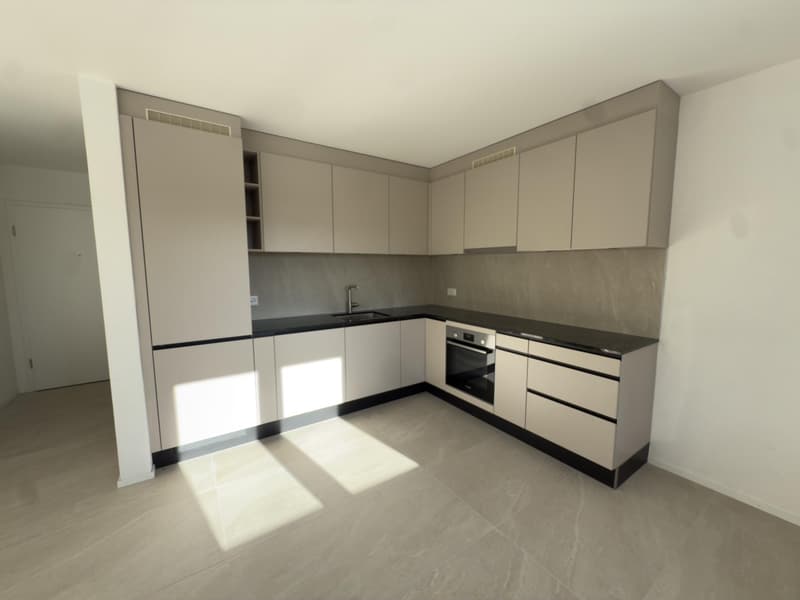3.5 rooms with 150m2 garden fully renovated in Fétigny (11)