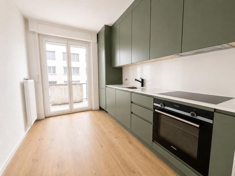 Magnifique appartement 3.5 pièces à Fribourg ? quartier Pérolles ? lumineux et entièrement remis à neuf (2)