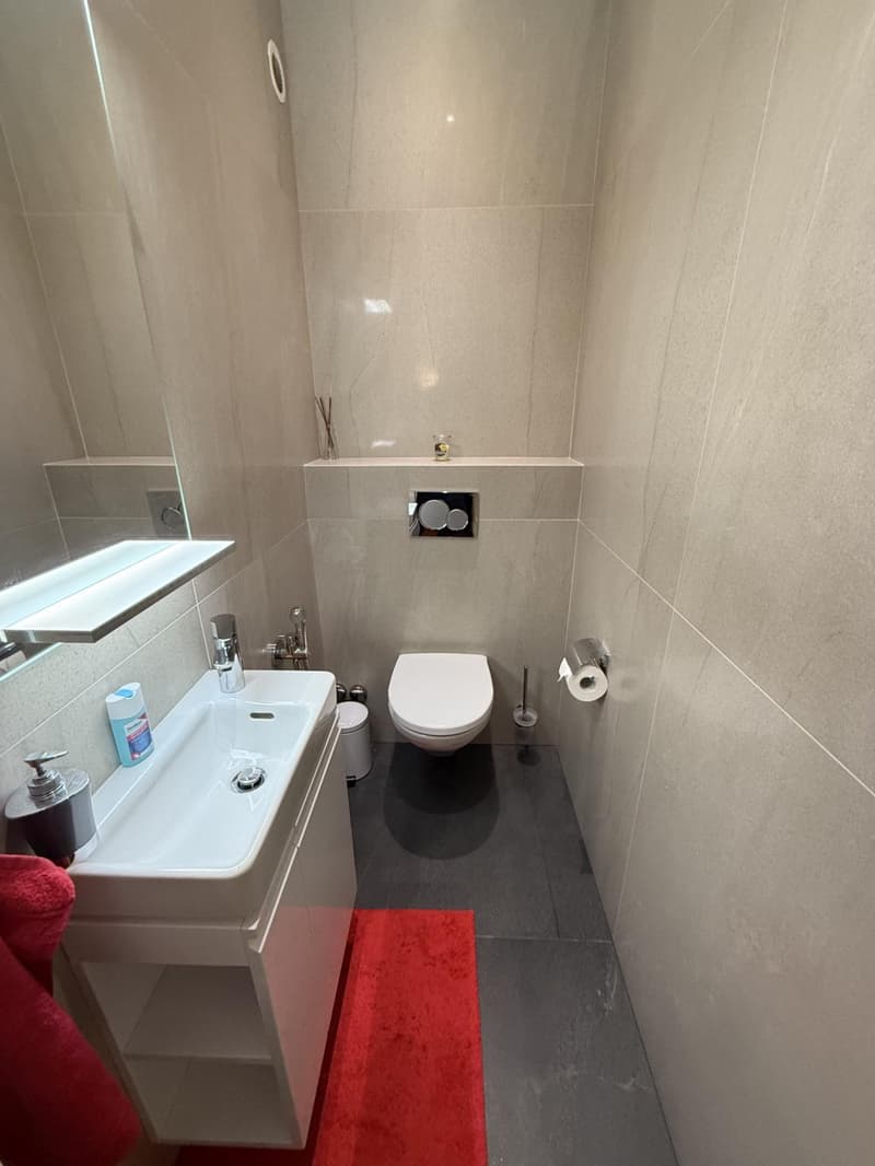 Magnificent 3.5-room furnished apartment with panoramic lake view in Territet (9)