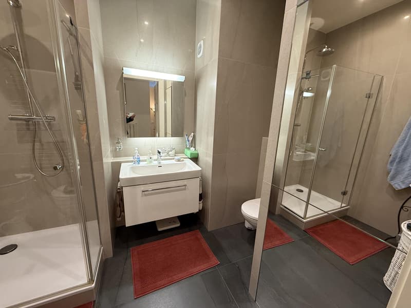 Magnificent 3.5-room furnished apartment with panoramic lake view in Territet (8)