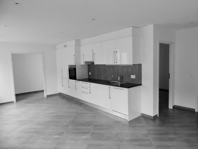 Rental income building fully rented in the heart of Moudon (4)