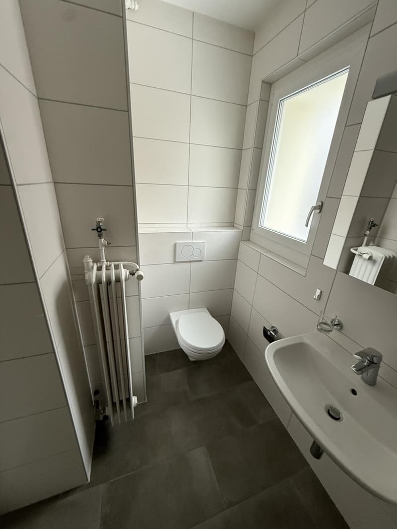 Beautiful 2.5-room apartment with balcony, 5 minutes from the train station (5)