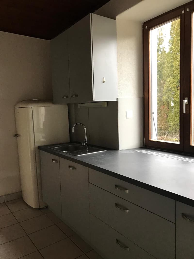 Très beau 4.5 pièces avec jardin et parking à Courfaivre (3)