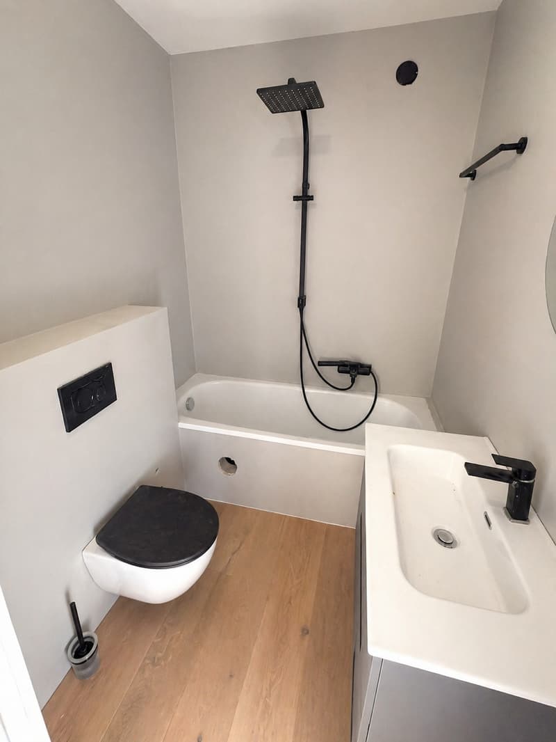 Appartement 3.5 pièces de 88 m2 entièrement rénové (6)