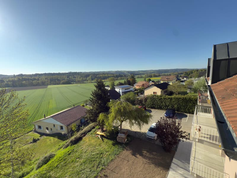 Très bel appartement rénové de 4.5 pièces à Fétigny (6)