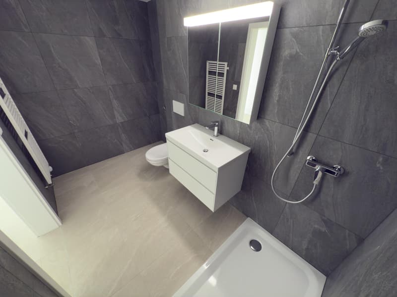 Appartement 4.5 pièces entièrement rénové à Fétigny (6)