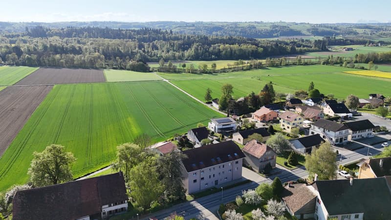 Appartement 4.5 pièces entièrement rénové à Fétigny (3)
