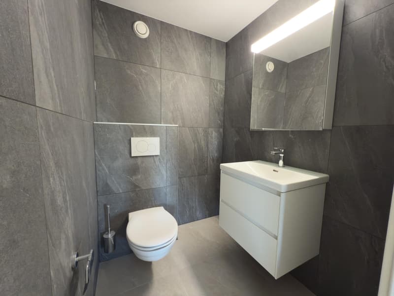 Appartement 4.5 pièces entièrement rénové à Fétigny (8)