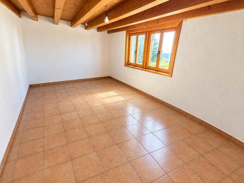 Magnifique appartement 5.5 pièces entièrement rénové avec vue dégagée (2)