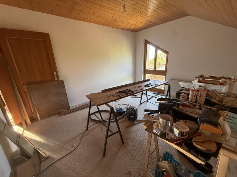Magnifique appartement 5.5 pièces entièrement rénové avec vue dégagée (9)