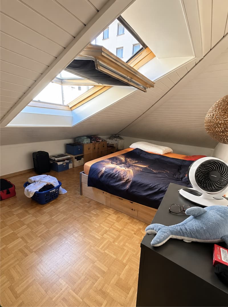 Très beau 2,5 pièces rénové à Pérolles - Fribourg (5)