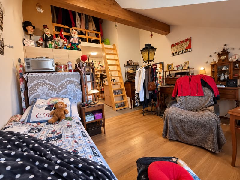 Charmant studio à louer à Moiry (6)