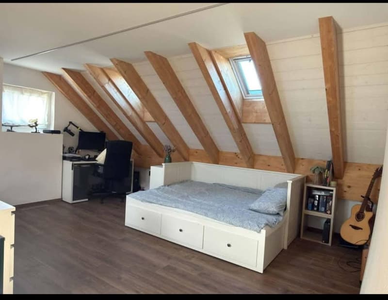 Magnifique appartement de 3.5 pièces neuf à Gimel (2)