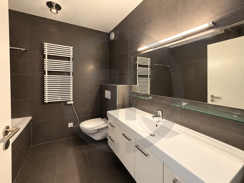Exclusif: Appartement luxueux en vente à Vessy (6)