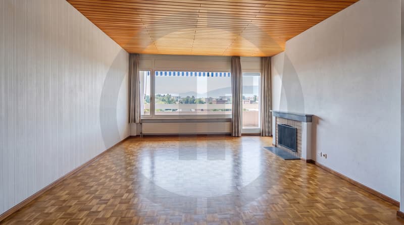 Exclusivité : Grand appartement traversant au coeur du Grand-Saconnex (7)