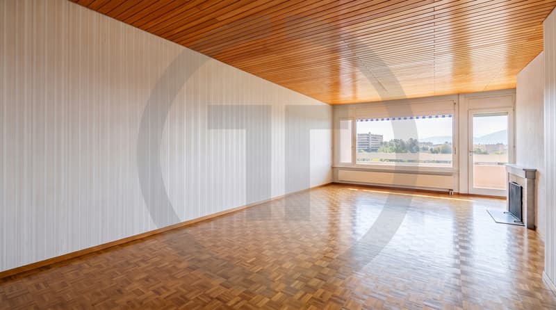Exclusivité : Grand appartement traversant au coeur du Grand-Saconnex (6)