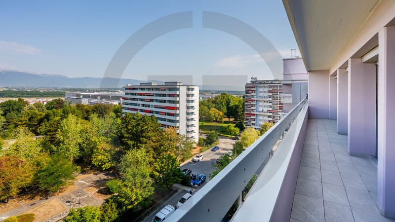 Exclusivité : Grand appartement traversant au coeur du Grand-Saconnex (10)