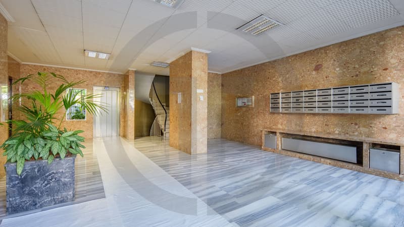 Exclusivité : Grand appartement traversant au coeur du Grand-Saconnex (12)