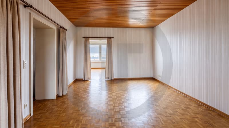 Exclusivité : Grand appartement traversant au coeur du Grand-Saconnex (8)