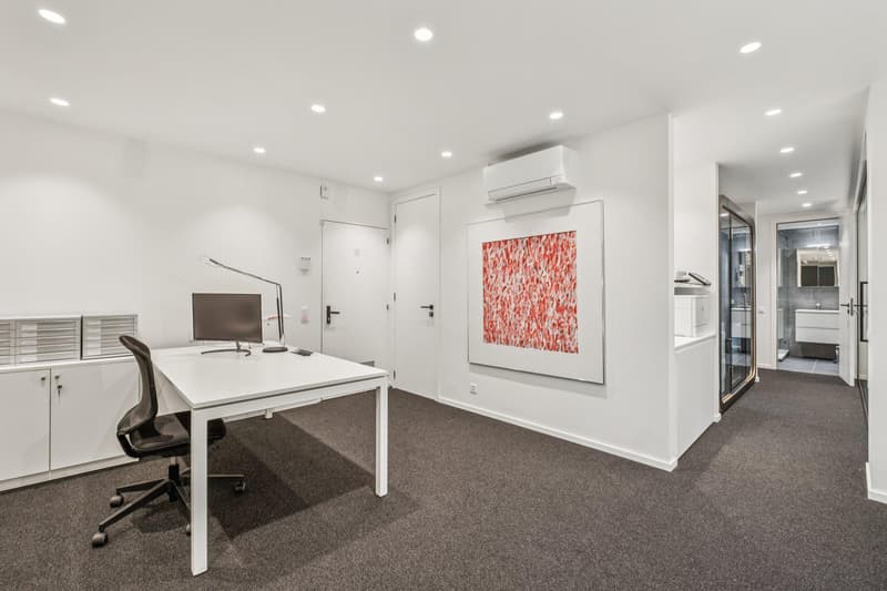 OFFICE FOR SALE ? PETIT-SACONNEX - GENEVA (2)