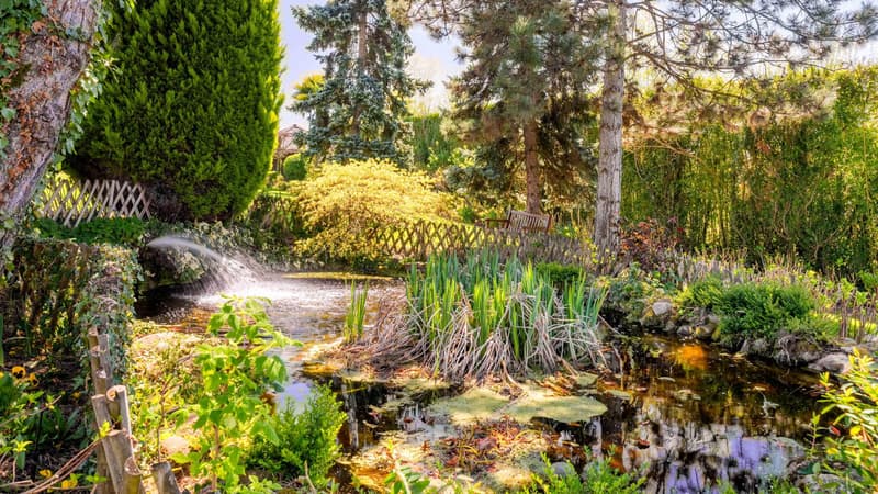 Exclusive - Elegant Private Hotel in a green setting (5)