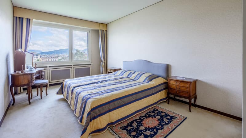 En exclusivité - Appartement traversant lumineux avec vue dégagée au coeur de Genève (3)