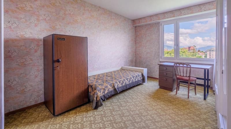 En exclusivité - Appartement traversant lumineux avec vue dégagée au coeur de Genève (5)