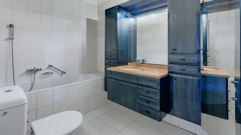 En exclusivité - Appartement traversant lumineux avec vue dégagée au coeur de Genève (10)