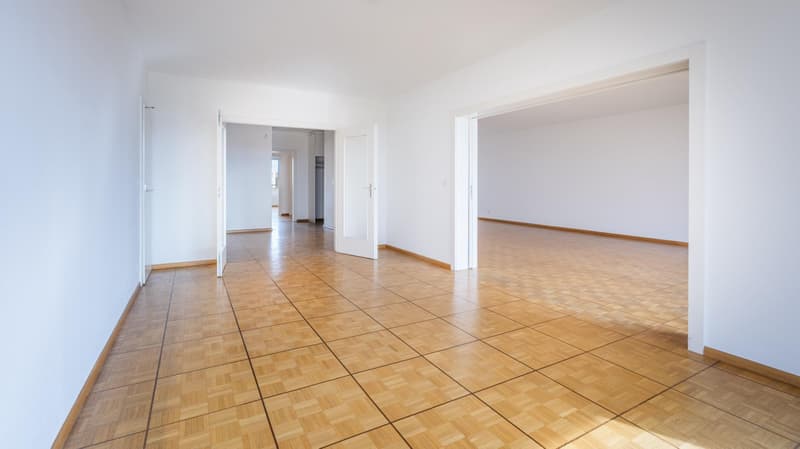 Matutina Parc - Appartement de 193 m2 PPE - 9ème étage (5)