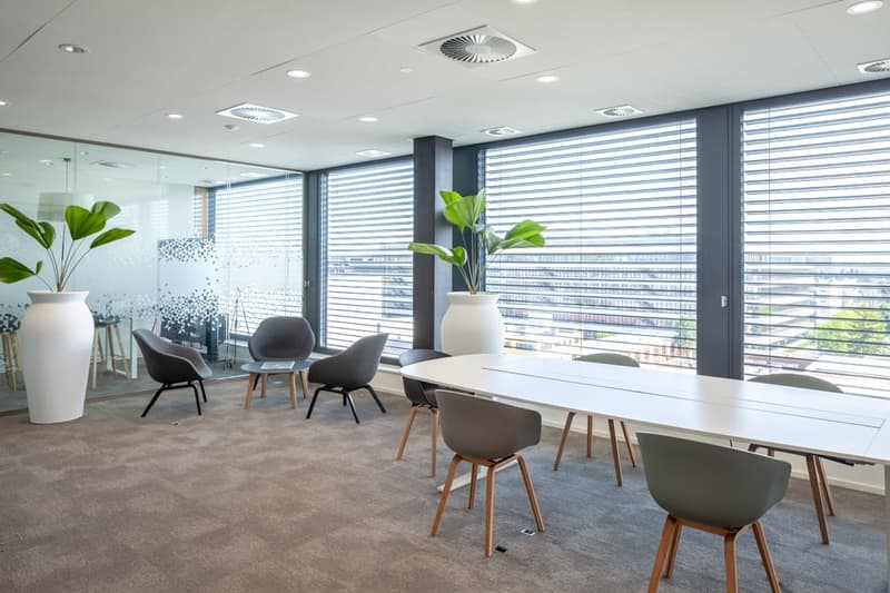 Modern and spacious office interior with large windows providing a view, white walls, gray carpeted floor, long conference table with chairs, potted plants, and recessed lighting.