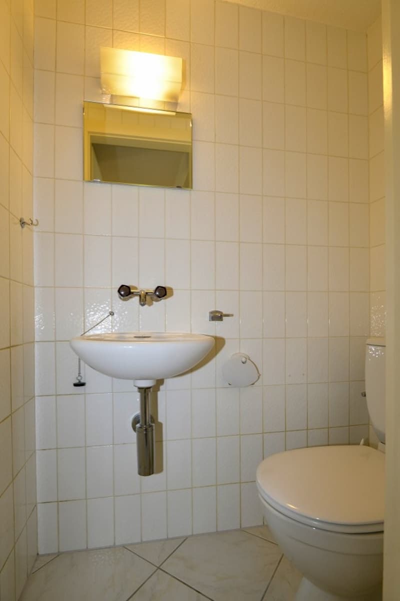 A simple bathroom with a toilet, a sink and a mirror.