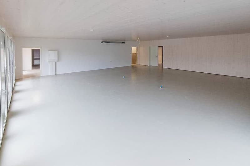 Werkstatt von 110 m2 im Erdgeschoss eines neuen Gebäudes (4)