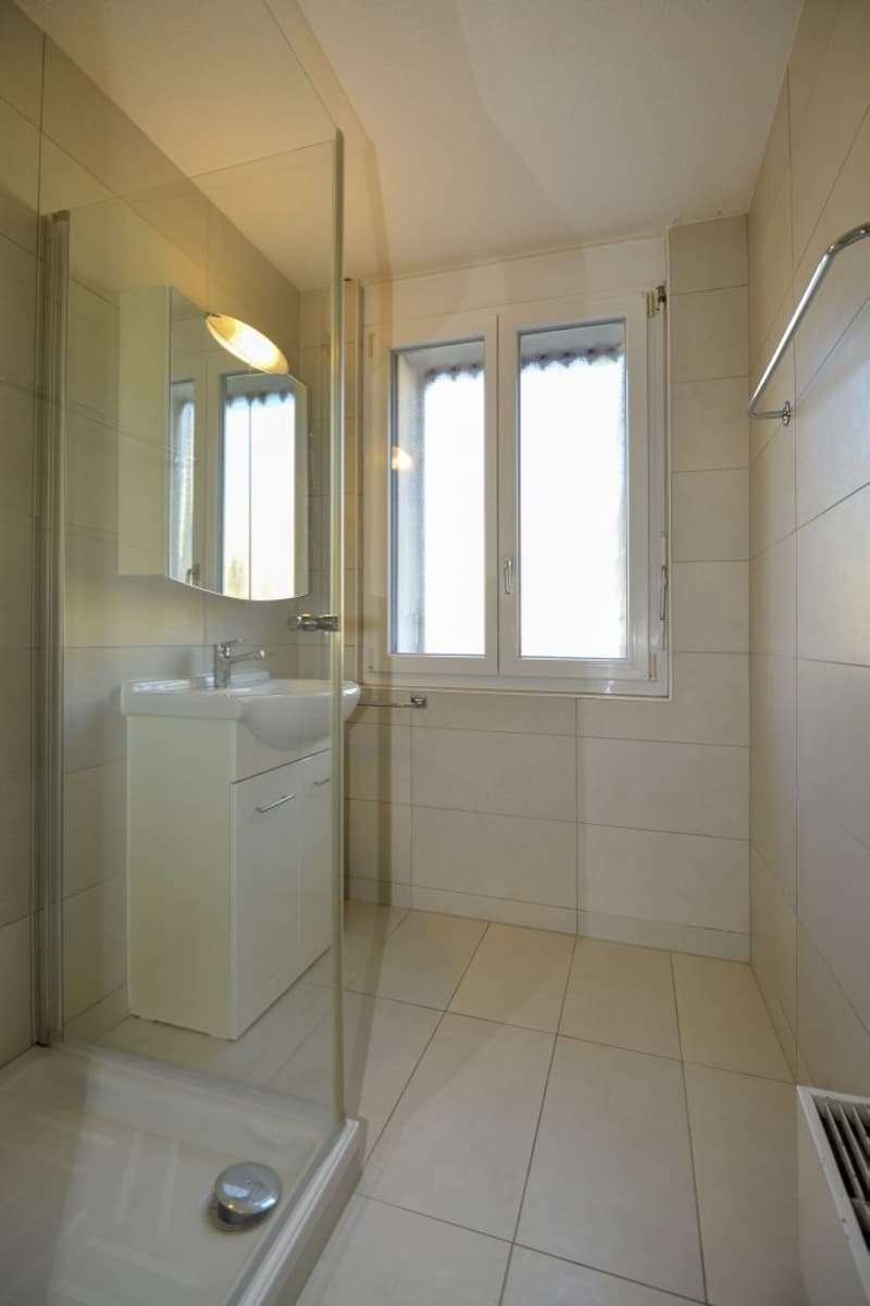 Charmantes und geräumiges 3.5-Zimmer-Apartment mit Balkon/Loggia und Parkplatz (11)