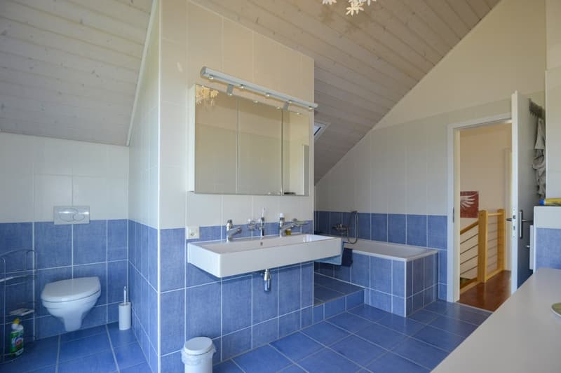 Magnificent individual villa with panoramic and breathtaking views of the Alps (14)