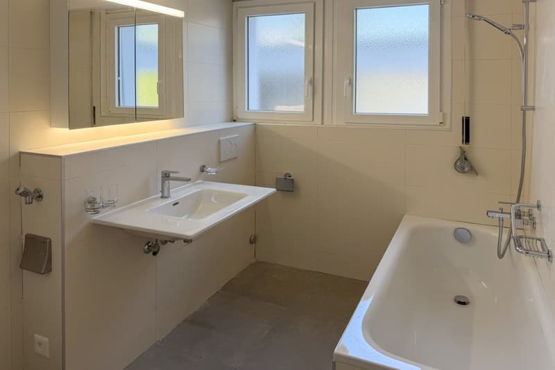 Spacious 4.5-room apartment of 110 m2 (9)