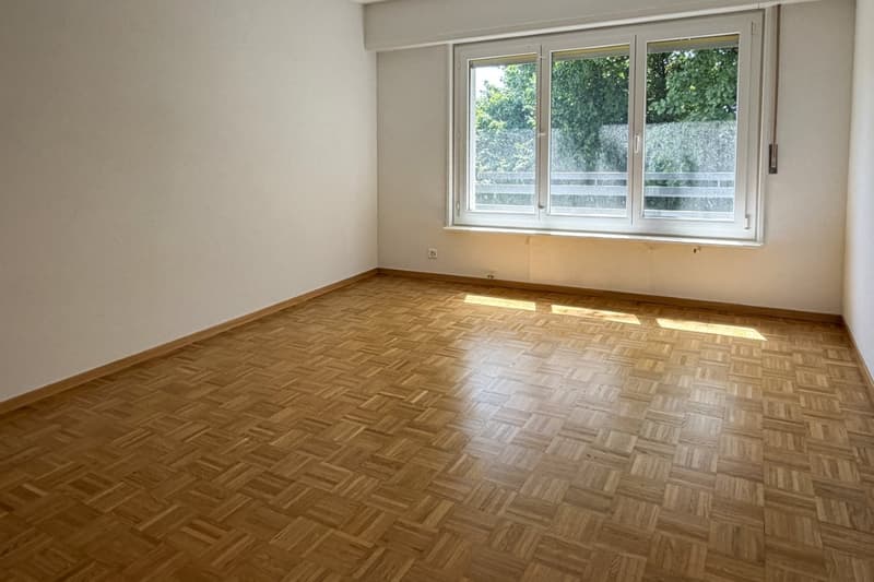 Spacious 4.5-room apartment of 110 m2 (6)
