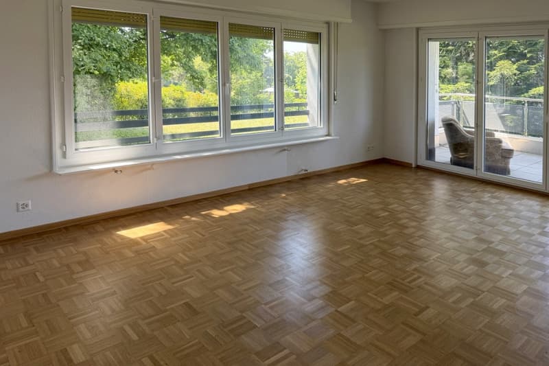 Spacious 4.5-room apartment of 110 m2 (4)