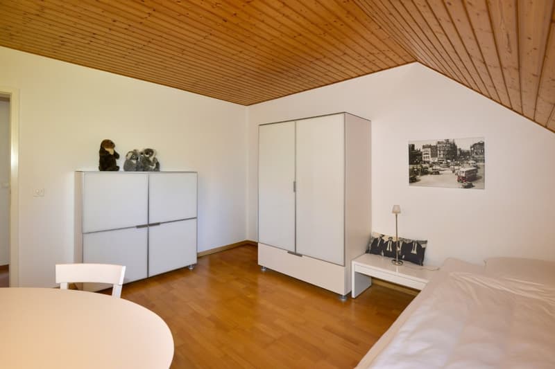Magnifique et spacieuse villa de 7.5 pièces avec piscine (15)