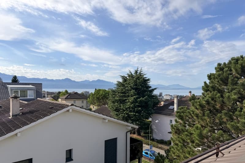 Quatre appartements neufs de 4.5 pièces avec balcon/terrasse ou jardin (3)