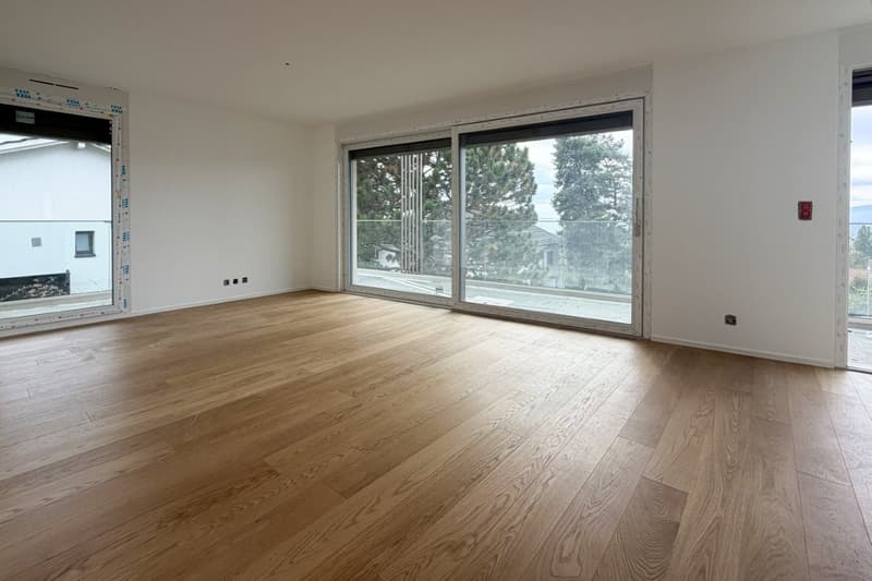 Quatre appartements neufs de 4.5 pièces avec balcon/terrasse ou jardin (5)