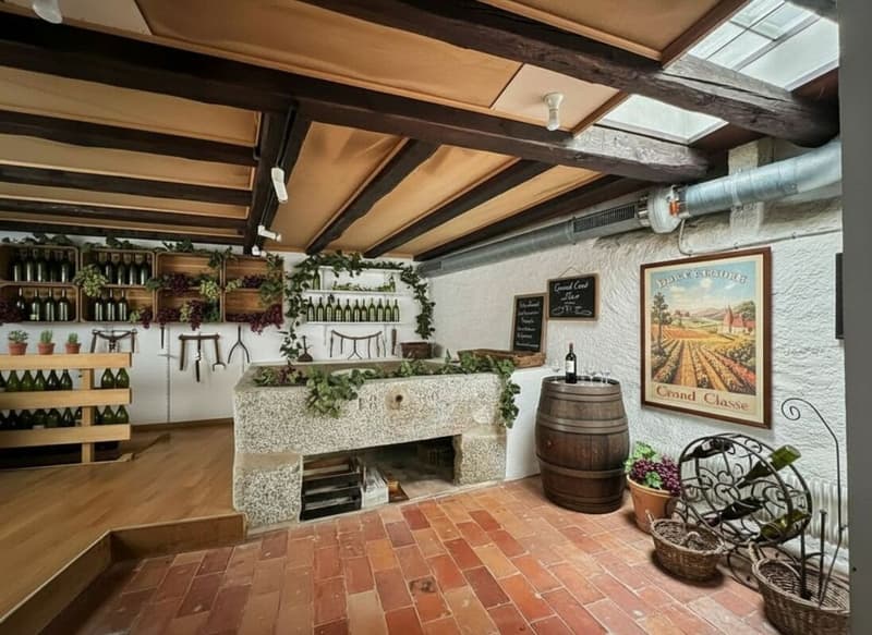 Apartment in a triplex in a beautiful winegrower's house (8)